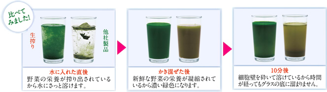 青汁の違いが分かる!